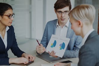 write professional business plans for startups, investors, loan, grant proposals