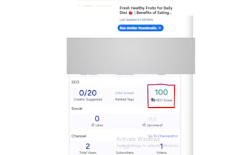 provide youtube video SEO service for organic growth