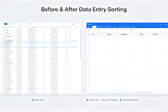 provide accurate data entry file sorting and full virtual assistant service