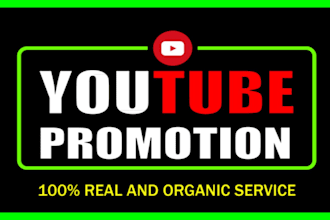 do premium youtube video promotion to active audience