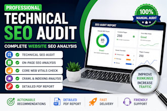 perform a professional technical website audit