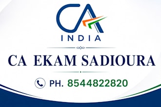 provide consultancy in financial and legal compliance
