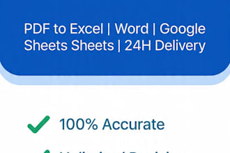 accurate data entry in excel and google sheets in 24 hours