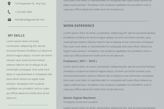 professionally format and design your resume or CV