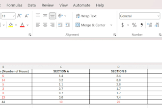 create, organize, and format excel spreadsheets