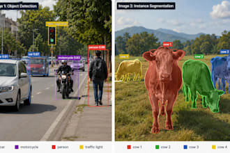 do image and video annotation and train computer vision models
