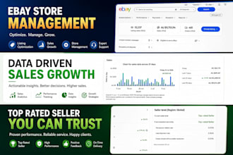 be your ebay dropshipping virtual assistant