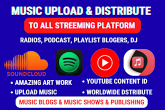 distribute music to all streaming platforms and fix rejecting issues with dps