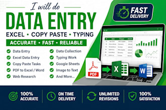 do accurate data entry,excel data entry, copy paste and pfd conversion