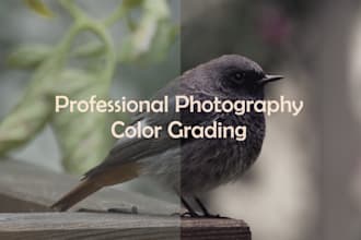 color grade and retouch your photos professionally