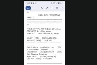 pdf to word data entry data formatting