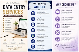 do accurate data entry excel PDF to word copy paste and google sheets