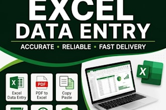 do excel data entry and  PDF to excel