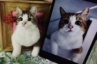 do a custom wool felted pet portrait in a keepsake frame