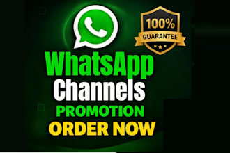 grow and promote whatsapp channel followers