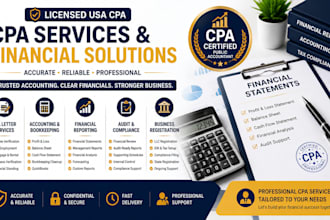 do CPA letter, accounting and finance, audit financial statements in 1hr