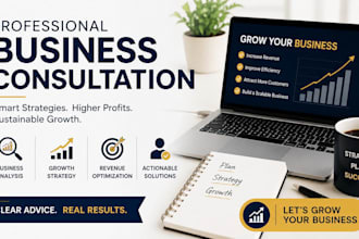 provide professional business growth and revenue strategy consultation
