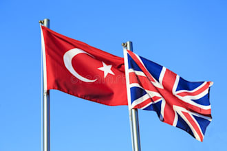 translate between turkish and english content