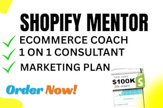 be your shopify dropshipping mentor, shopify coach, consultant, ecommerce mentor