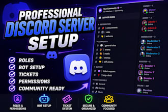 create and setup a professional discord server
