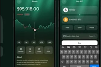 build an online payment app, p2p money transfer app, fintech app, wallet app
