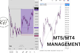 be your best account management , mt4 or mt5 account management