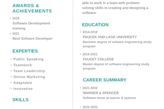 create a highly professional and attractive CV for you 24h