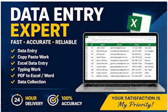 do data entry, copy paste, typing, data cleaning, excel and web research work
