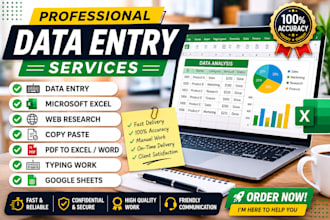 do accurate data entry, microsoft excel, web research and copy paste