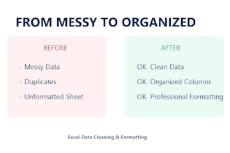 do accurate excel data entry, data cleaning and formatting