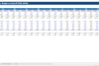 build financial models and budget reports in excel