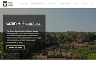 design non profit website, charity website, foundation website
