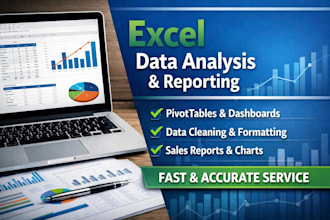 do accurate excel data entry and financial record keeping