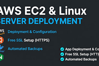 set up AWS ec2 server and deploy your application