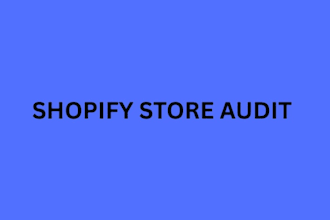 do shopify audit for your store