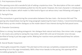 be your professional book beta reader