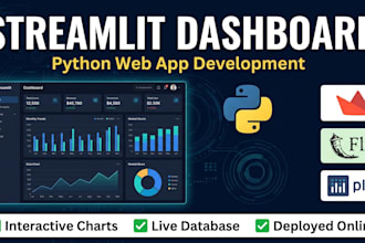 build a professional streamlit dashboard or python web app
