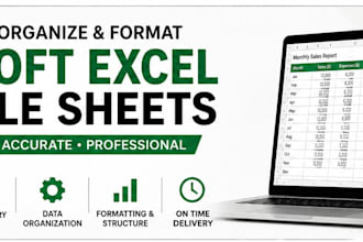 create,organize,and format microsoft excel and google sheets