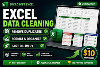 clean, format and organize excel data professionally