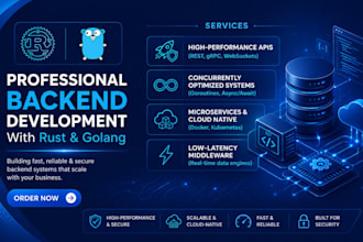 develop golang or rust applications