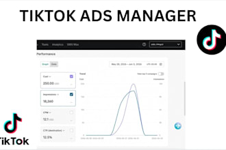 setup and create tiktok ads account, run tiktok ads campaign, tiktok advertising