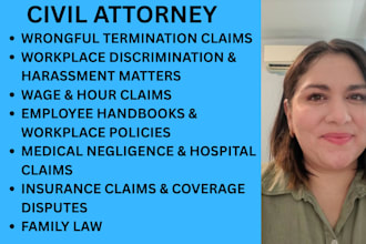 handle divorce cases, child custody, spousal support, and family law disputes