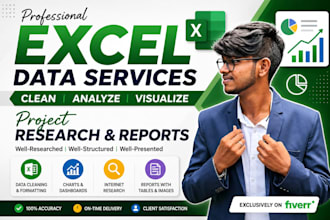 virtual assistant for excel data entry and research projects