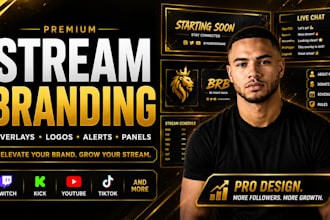 professional obs stream setup