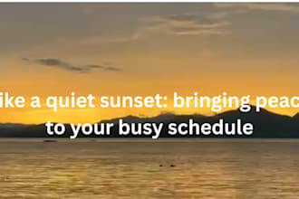 be your professional virtual assistant and calendar manager