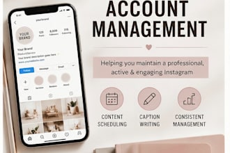 manage your instagram account professionally