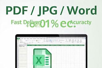 fast and accurate data entry and excel work