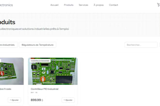 transform your idea into a professional and high performance website