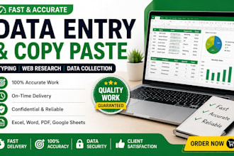 do data entry, copy paste, typing and web research