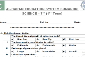 format word documents, assignments, and reports